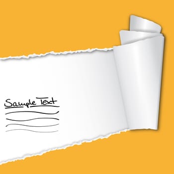 Torn paper with copy space