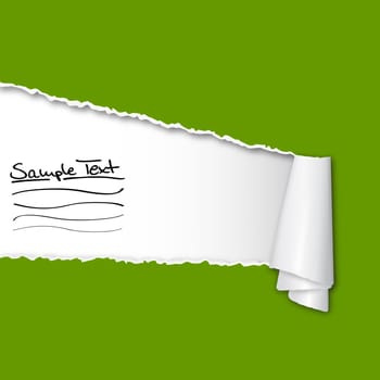 Torn paper with copy space