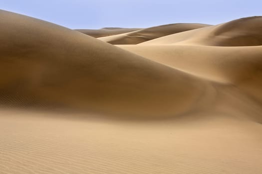 Desert dunes sand in Maspalomas Oasis Gran Canaria at Canary islands