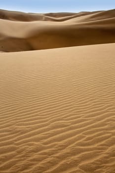 Desert dunes sand in Maspalomas Gran Canaria at Canary islands