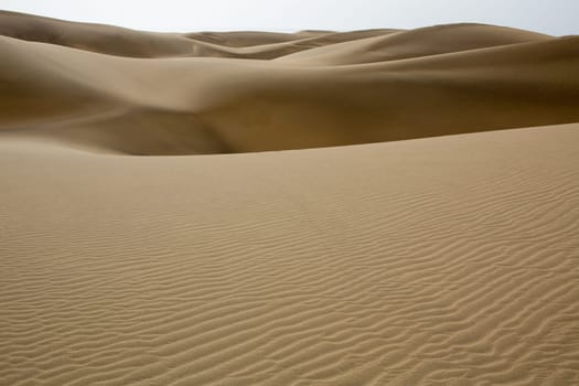 Desert dunes sand in Maspalomas Gran Canaria at Canary islands