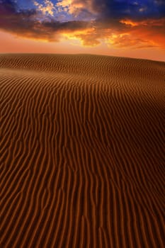 Desert dunes dramatic sunset in Maspalomas Oasis Gran Canaria at Canary islands
