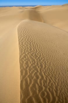 Desert dunes sand in Maspalomas Gran Canaria at Canary islands