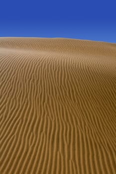Desert dunes sand in Maspalomas Oasis Gran Canaria at Canary islands