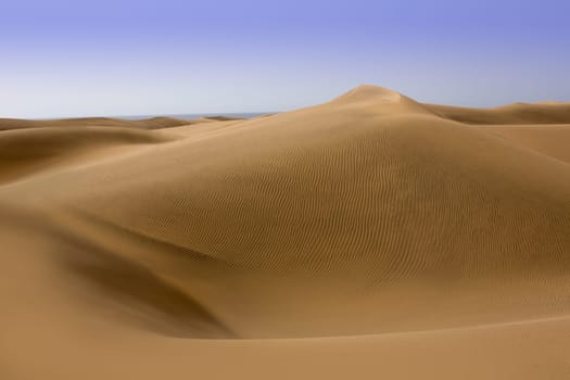 Desert dunes sand in Maspalomas Oasis Gran Canaria at Canary islands