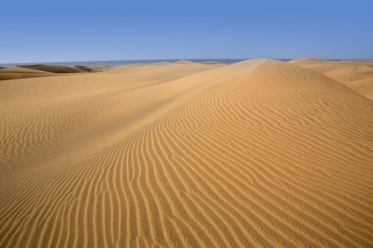 Desert dunes sand in Maspalomas Oasis Gran Canaria at Canary islands