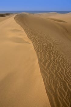Desert dunes sand in Maspalomas Oasis Gran Canaria at Canary islands