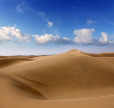 Desert dunes sand in Maspalomas Oasis Gran Canaria at Canary islands