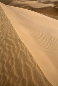Desert dunes sand texture in Maspalomas Gran Canaria at Canary islands