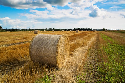 Rye is bended to ball for better storage