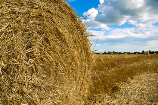 Rye balls are seems on background of one