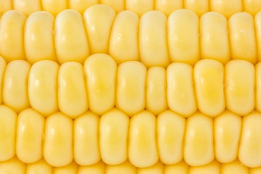 close up background of yellow sweet corn