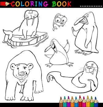 Coloring Book or Page Cartoon Illustration of Funny Marine and Polar Animals for Children