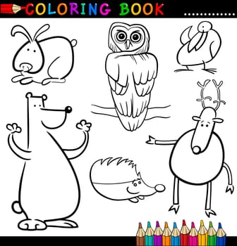 Coloring Book or Page Cartoon Illustration of Funny Wild and Forest Animals for Children