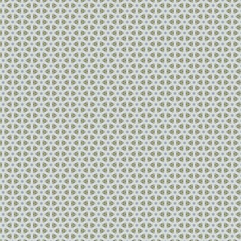 the vintage shabby background with classy patterns