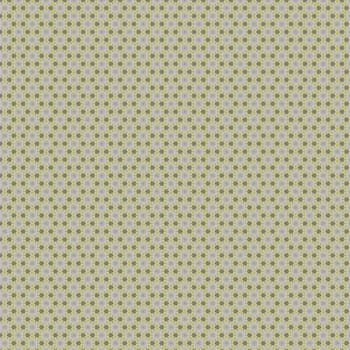 the vintage shabby background with classy patterns