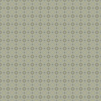 the vintage shabby background with classy patterns