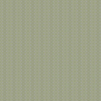 the vintage shabby background with classy patterns