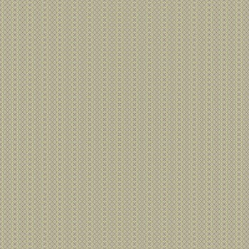 the vintage shabby background with classy patterns
