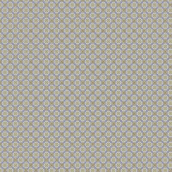 the vintage shabby background with classy patterns