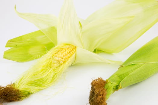 vegetables