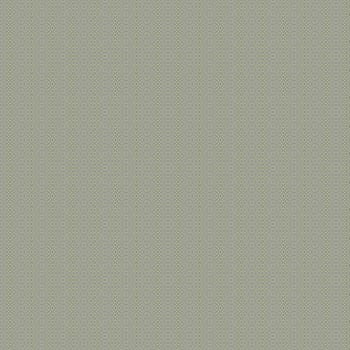 the vintage shabby background with classy patterns