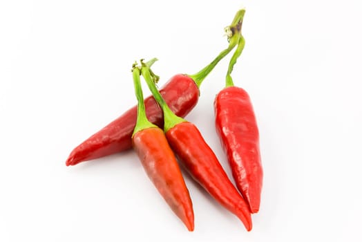 spicy