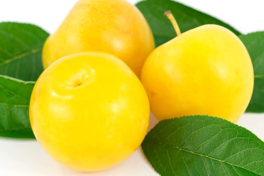 fruits