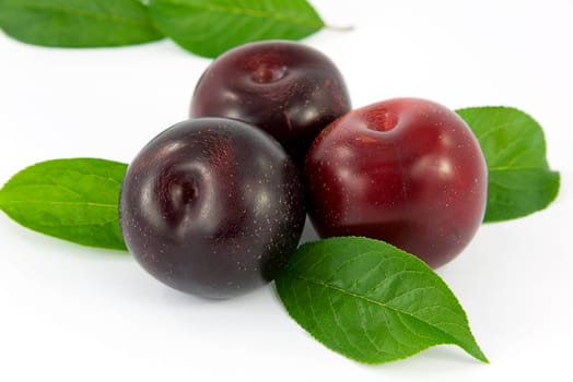 fruits