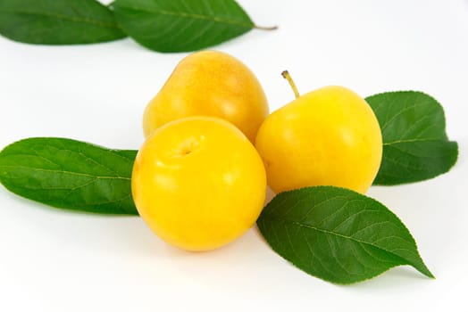 fruits