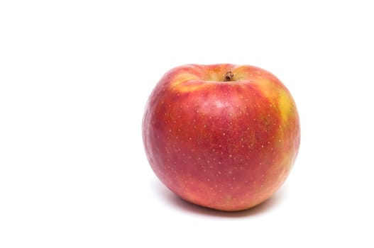 Red Boskop apple on white background