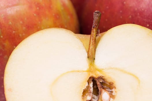 Close-up of a sliced Boskop apple