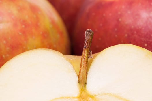 Apple stalk of a sliced Boskop apple
