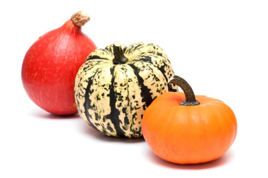 Three pumpkins in a row on white background