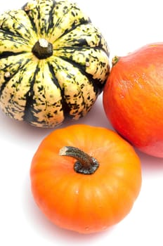 Three pumpkins in orange and green on white background