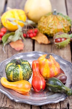 Pumpkin decoration