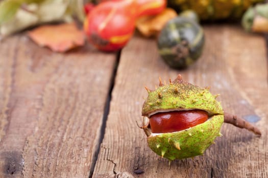 Chestnuts