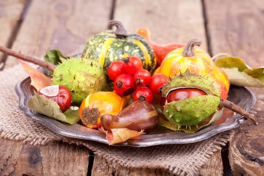 colorful autumn plate