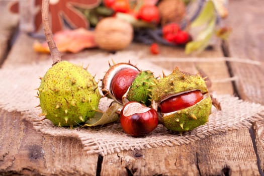 Chestnuts