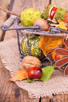 Basket of autumn clothes