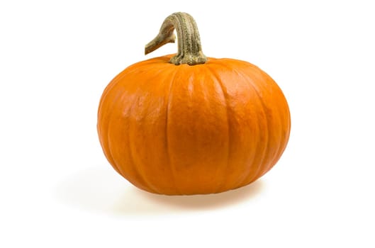 orange ornamental pumpkin