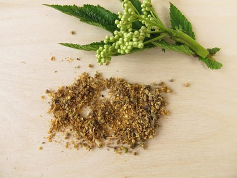 Meadowsweet flowers,Spiraeae flos