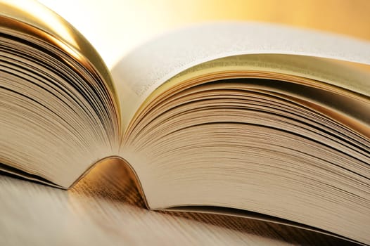 Composition with book on the table