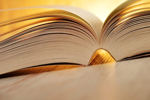 Composition with book on the table