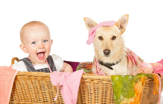Mischievous happy young baby and dog with a guilty expression sitting in the laundry basket covered in washing