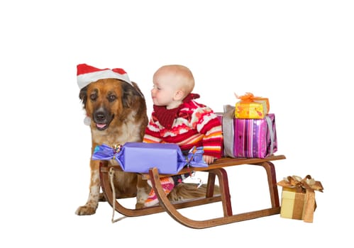 Adorable little baby in winter woollies sitting on Christmas sled loaded with gifts with the faithful family dog in a Santa hat close at hand