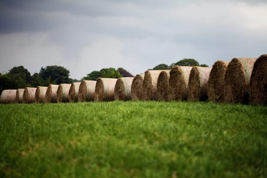 Bales of straw in front of a sky with rain clouds