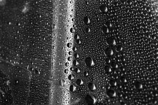Water droplets in a macro shot as a background
