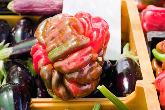 Unusual big paprika and eggplants in market