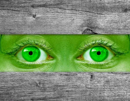 friendly monster with green eyes in cage